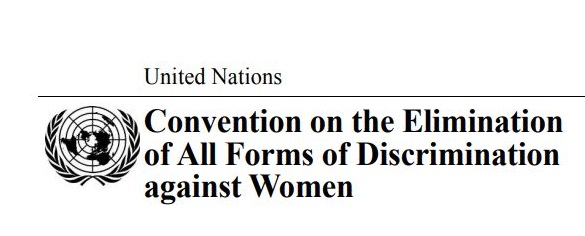 CEDAW Komitesi Toplumsal Cinsiyete Dayalı Şiddet Konusundaki 35 No’lu Genel Tavsiye’yi Kabul Etti, Temmuz 2017